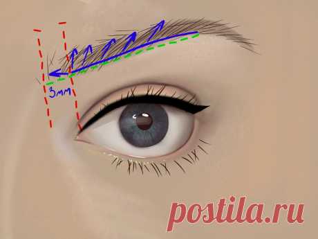 Всего две линии карандашом для бровей делают брови роскошными, но без потери индивидуальности | Елена Юлкина | Яндекс Дзен