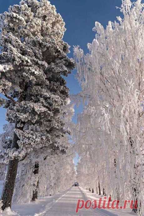 Բարի լույս ձմեռային անտառում․․․✨❄️
Բարի գալուստ ձմեռային հեքիաթ․․․✨❄️
Թույլ տուր քեզ երազել և երազանքդ նկարի գեղեցիկ գույներով ...❤️✨❄️
Որտեղ ձեր մտքերն են, անյտեղ դուք եք,փորձեք միշտ լինել լավ տեղերում...❤️✨❄️💫