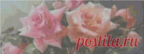 Схема картины - Розы панорама - OXO Ярмарка