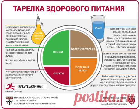 Построение здорового и сбалансированного питания с помощью "Тарелки здорового питания". Проверено, работает | Bereg1nya | Яндекс Дзен