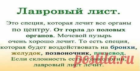 Именно остеохондроз является причиной боли в спине в 80% случаев. Для тех, у кого застарелый остеохондроз, лучше любых мазей из аптеки помогают средства на основе лаврового листа. Вот отличные рецепты: 1) Лавровое масло. Залить стаканом