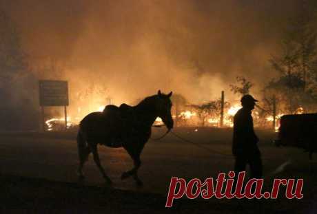 Лесные пожары в Чили: гибнут люди и города | Чёрт побери