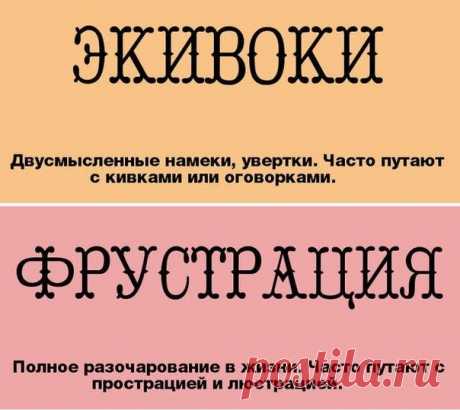 Учимся говорить по-русски правильно: слова, часто используемые &quot;не по назначению&quot; — Полезные советы