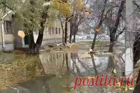 Затопившее улицу в российском городе «озеро дерьма» сняли на видео. В Кургане фекальные массы заполнили подвал дома сразу после капремонта, после чего вылились на улицу, образовав зловонное озеро. По словам местных жителей, проблема с затоплением подвала дома номер 11 на улице Машиностроителей фекальными массами существует уже более двух лет.