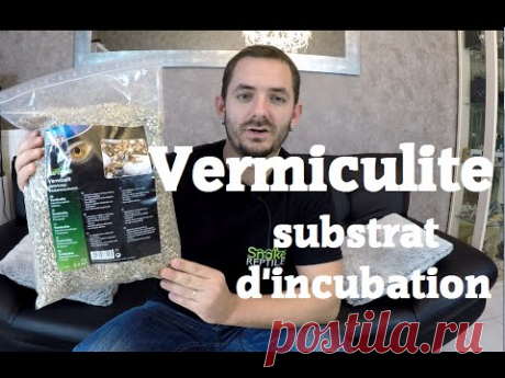 Test :: Vermiculite substrat d'incubation pour oeufs de reptile -- YouTube