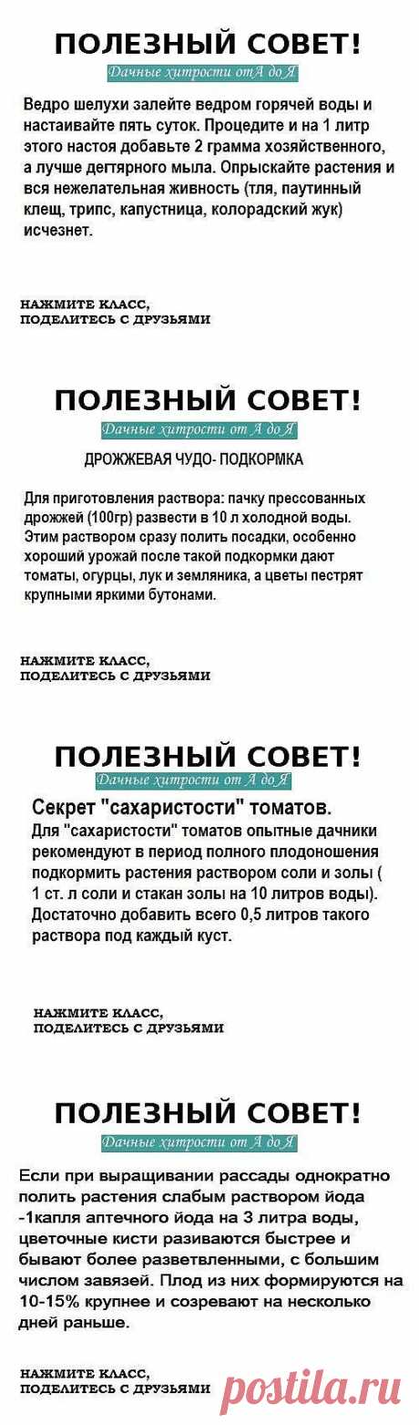 (508) Pinterest • Всемирный каталог идей