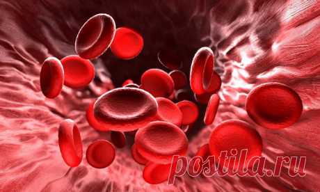 Профилактика анемии Анемия — состояние, при котором в крови недостаточное количество гемоглобина. Не эритроцитов! А гемоглобина. Обратите внимание на разницу. Гемоглобин – это транспорт! Это особая цистерна для перевозки кислорода.