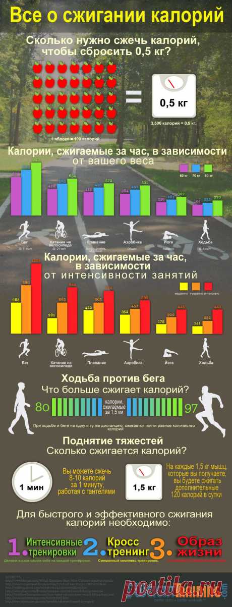 О  сжигании калорий. Как воздействуют на нас различные формы активности? Насколько сжигание калорий зависит от вашего веса и интенсивности занятий?