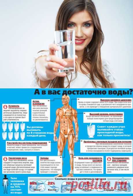 Вода: какую роль играет в организме и сколько нужно пить / Будьте здоровы