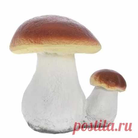 картинка грибы: 21 тыс изображений найдено в Яндекс.Картинках