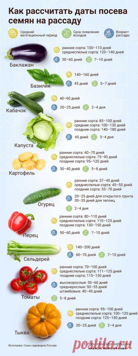 Время сажать перцы: когда сеять овощи на рассаду в 2022 году