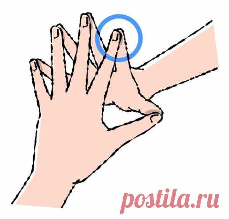 «Йога пальцами»: Методика похудения и снятия отеков без сложных поз | LadyFIT | Яндекс Дзен
