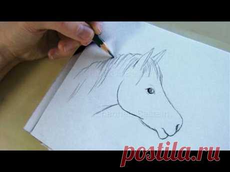 Zeichnen lernen: Pferd - Einfaches Pferd malen lernen 🐴