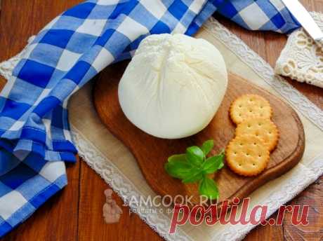 Сливочный сыр — рецепт с фото + отзывы. Как сделать домашний сливочный сыр и сметаны или кефира?