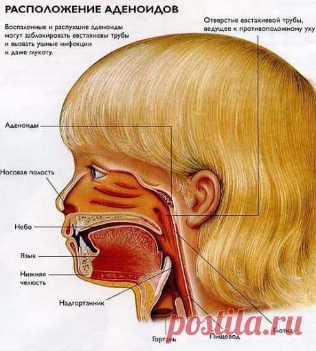 Новости