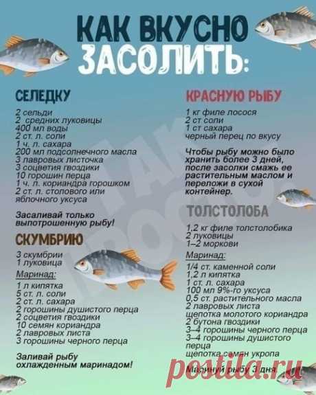 засолка рыбы