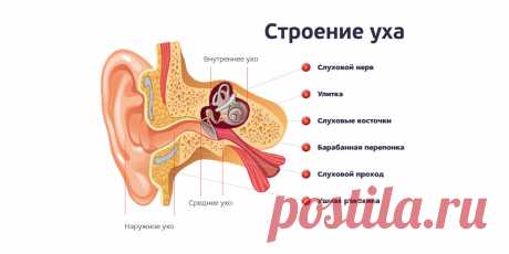 Что нужно знать об отите | Делимся советами