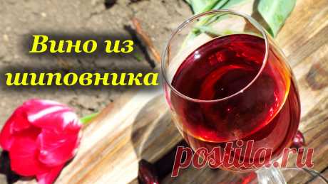 Рецепты вина из шиповника - Perchinka63