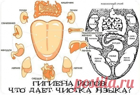 Что дает чистка языка?