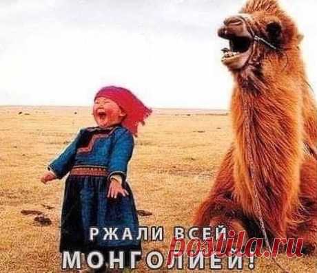 Монголия дала издевательский ответ на требование Украины выплатить компенсации за нашествие хана Батыя - Агентство Информационных Сообщений