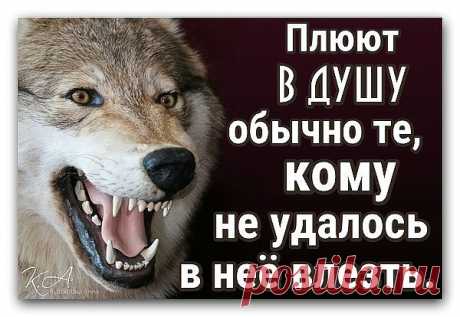 Не обижайте тех, кто в Вас души не чает...
Кто Вам готов любые выходки простить...
Кто Вас молитвами всё время обнимает...
И продолжает с каждым днём сильней любить…
Не относитесь к ним придирчиво и строго.
Не плюйте в тот колодец, где придётся пить.
На свете преданных людей не так уж много…
Пока живут они… — старайтесь их ценить ...