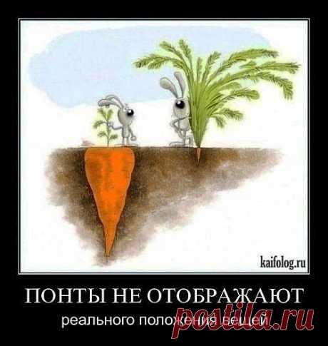 Вы хотите иметь стабильный заработок? Хотите работать дома? Тогда работа в Интернет для вас. Кого заинтересовали подробности пишите электронную почту вышлю информацию.