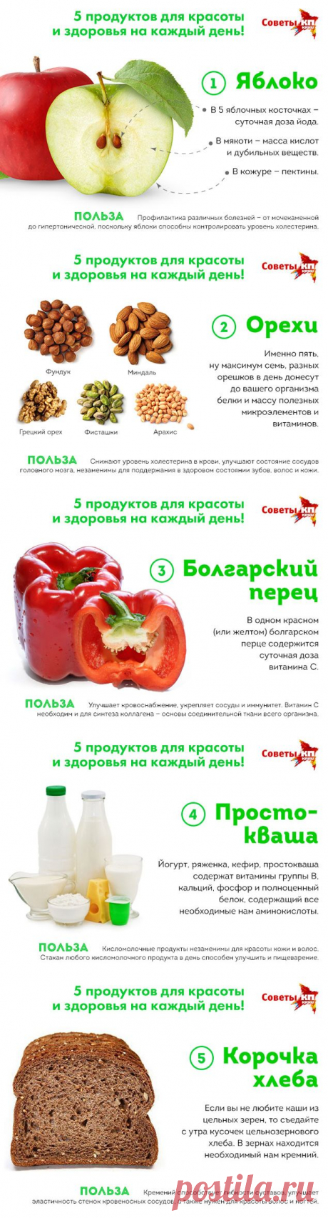 5 продуктов для красоты и молодости, которые нужны нам каждый день // KP.RU