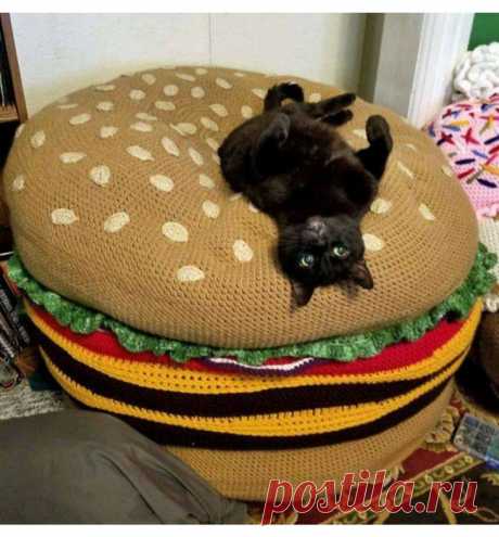 Чизбургер с котом