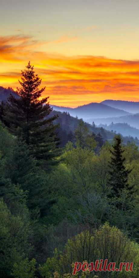 Great Smoky Mountains National Park on the Tennessee/North Carolina  | John Van Huizen приколол(а) это к доске Sunsets, Sunrises... | Pinter…