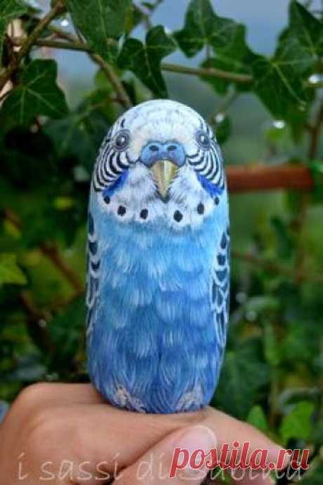 Pappagallino dipinto su sasso...such a realistic looking bird!!