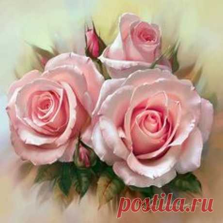 Pink tenderness. Discussion on LiveInternet - Russian Service Online diary