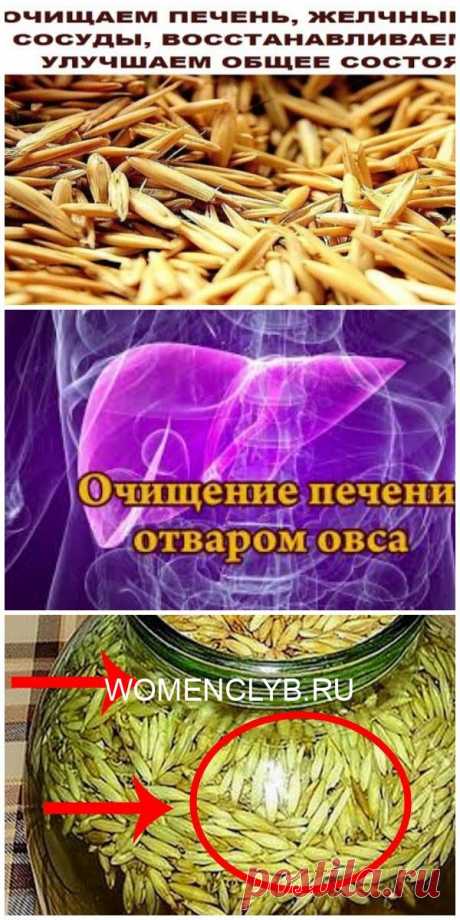 ОЧИЩАЕМ ПЕЧЕНЬ, ЖЕЛЧНЫЕ ПУТИ, СОСУДЫ, ВОССТАНАВЛИВАЕМ СОН, УЛУЧШАЕМ ОБЩЕЕ СОСТОЯНИЕ - WOMENCLYB