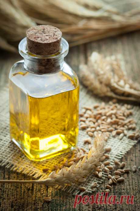 Супер-полезное масло зародышей пшеницы — Свойства и применение