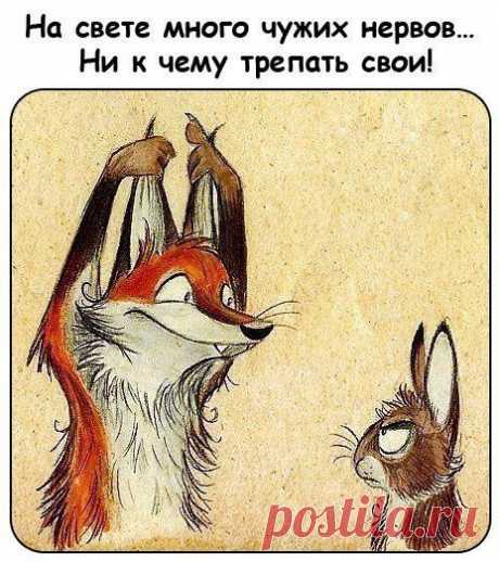 Новости