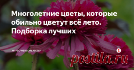 Многолетние цветы, которые обильно цветут всё лето. Подборка лучших Как известно, все растения различаются по срокам цветения. Одни цветут долго, другие в течении двух недель... Безусловно, каждому хочется, чтобы цветы, посаженные на клумбах цвели как можно дольше. Ничего замысловатого тут нет, главное правильно подобрать растения с максимально долгим сроком цветения. Поэтому, проведя анализ своих многолетних цветов в саду, я выделила те, которые цветут практическ