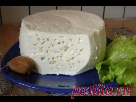 Приготовление сыра из козьего молока в домашних условиях