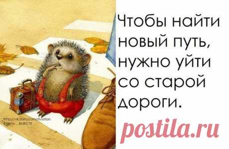 Новости