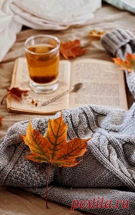 Хорошо, что есть осень, она нежно и аккуратно готовит нас к холодам. Любимая осень. Время размышлений, рук в карманах, легкое шуршание листьев под ногами, глинтвейна по вечерам и приятной меланхолии...