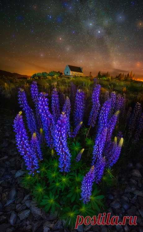 Void Whisper — drxgonfly: Starry Lupines Church (by Goff...