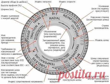 Всё, что нужно знать о колёсах