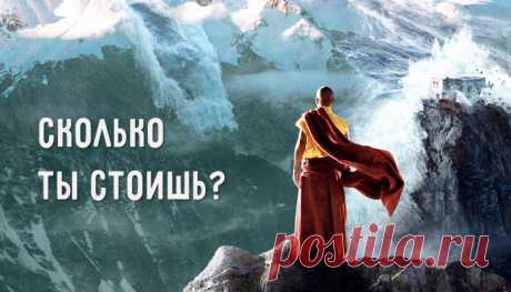 Сколько ты стоишь? – Фитнес для мозга