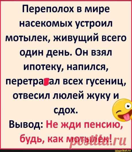 Переполох в мире насекомых устроил мотылек, живущий всего один день. Он взял ипотеку, напился, перетравал всех гусениц, отвесил люлей жуку и сдох. Вывод: Не жди пенсию, будь, как мотылек! - Такого вы еще не видели :) / АйДаПрикол :)