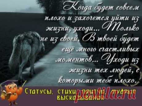 Порою приходится больно падать… вставать, чтобы потом снова упасть… жизнь любит ставить подножки, но с каждым падением ты становишься сильнее.