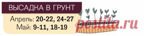 (49) Одноклассники