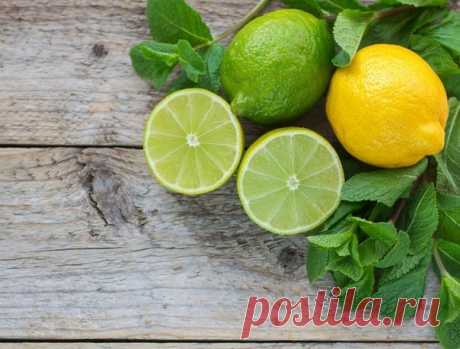 Лайм или лимон: какой фрукт полезнее — а вы об этом знали?
