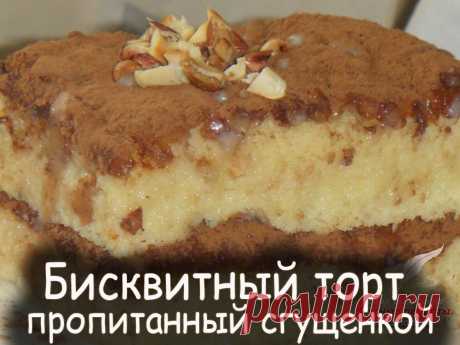 Бисквитный торт - Вкусные рецепты от Мир Всезнайки