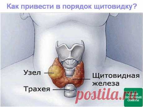 (2) Одноклассники Как привести в порядок щитовидку.