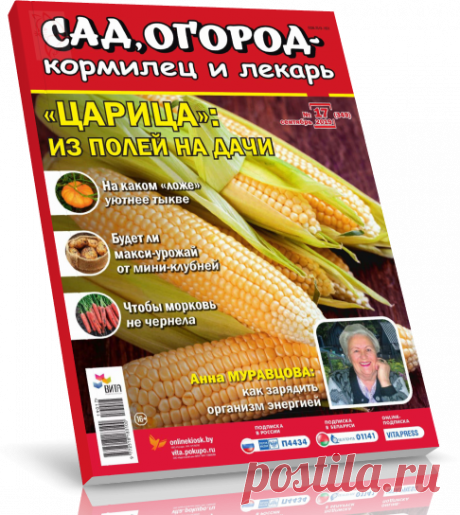 Читать журнал Сад, огород кормилец и лекарь 17-19. Царица из полей на дачи бесплатно.