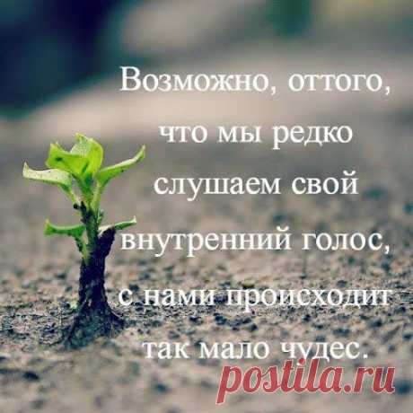 Как часто мы не доверяем своему Внутреннему Голосу, а потом, спустя время, просматривая киноленту прошлых событий, осознаем что именно в тот самый момент нужно было бы прислушаться к Внутреннему голосу — своей Интуиции. ﻿