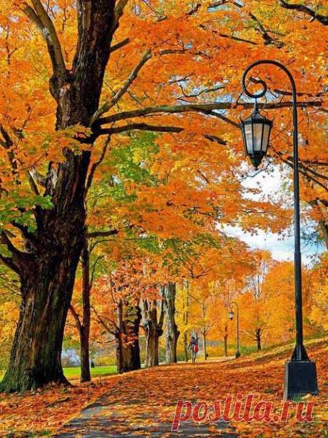 Autumn Stroll | ::::: Wonderful and Beautiful Alley :::::
